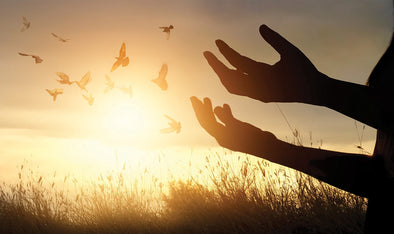 Aligning our words with God’s Word (Part 2)
